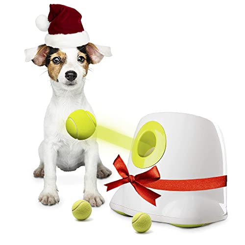 Lanzador de Pelotas para Perros automático ifetch Mini, Incluye 3 Pelotas para Perros pequeños y Cachorros. Juguete Interactivo para Perros. (Mini 3x5cm)